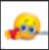 Small Image